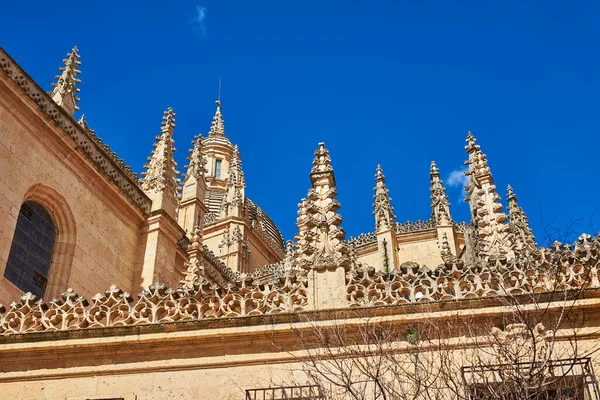 Pinnacles Detail Segovia Cathedral Catholic Temple Devoted Assumption Virgin Mary — Stock Photo, Image