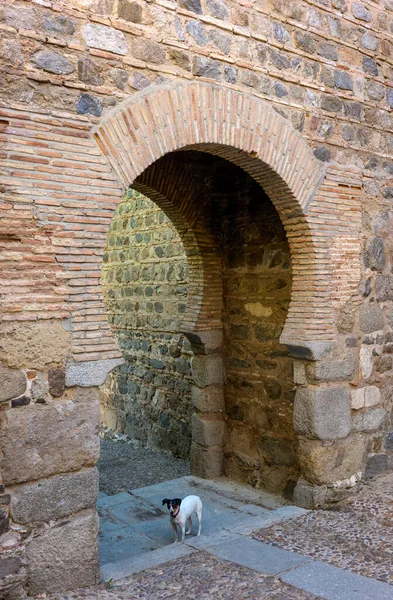 Porte Puerta Alcantara Toledo Castilla Mancha Espagne — Photo