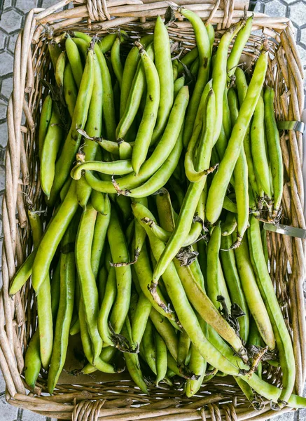 Ecological Broad Beans Pods Rustic Box — Stock Photo, Image
