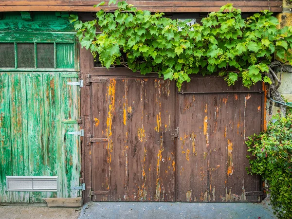 Weathered Green Brown Wooden Doors — Stock Photo, Image