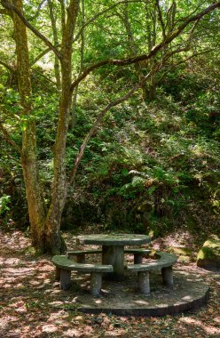 Stone tables and benches of a picnic area. San Sebastian, Gipuzkoa, Basque Country, Spain.