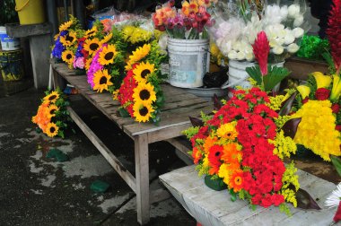 Medellin - Kolombiya