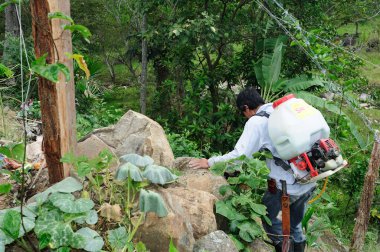 maracuya çiftlik dezenfekte