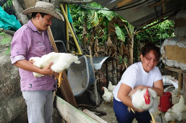 Rivera - Colombia — Stock Photo, Image