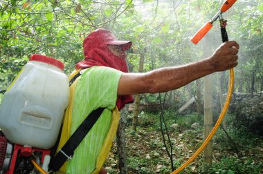 maracuya çiftlik dezenfekte