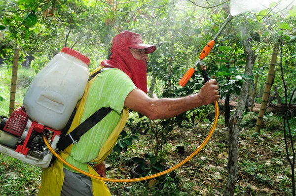 Plantación de Maracuya fumigando —  Fotos de Stock