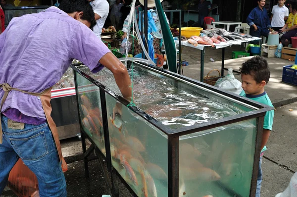 Mercado em Rivera - Colômbia — Fotografia de Stock