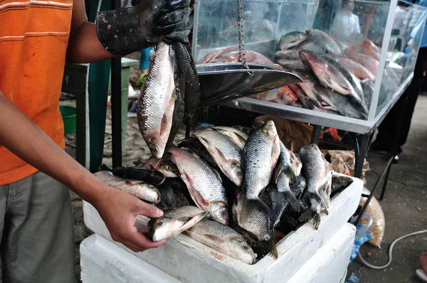 Mercado en Rivera - Colombia —  Fotos de Stock