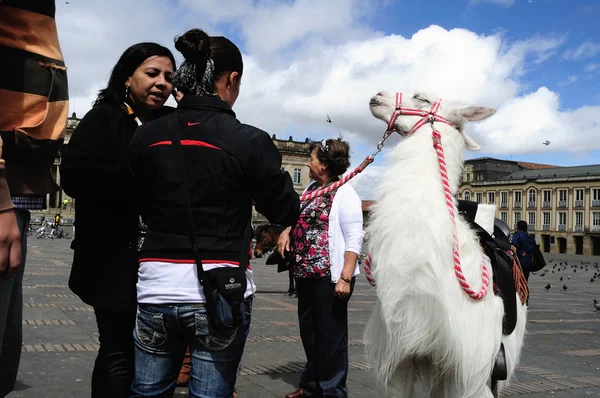 Bogota - Colombia — Stock Photo, Image