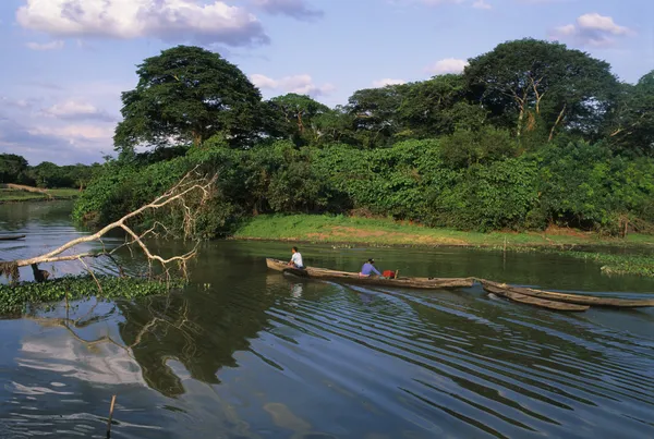 MOCA.EQUATORIAL GUINEA-Batete — Stock Photo, Image