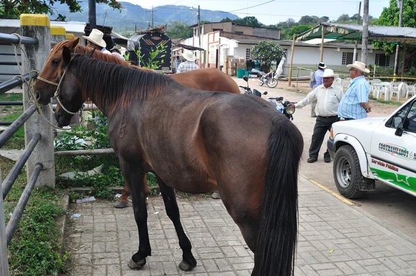 Market in Timana - Colombia — Stock Photo, Image