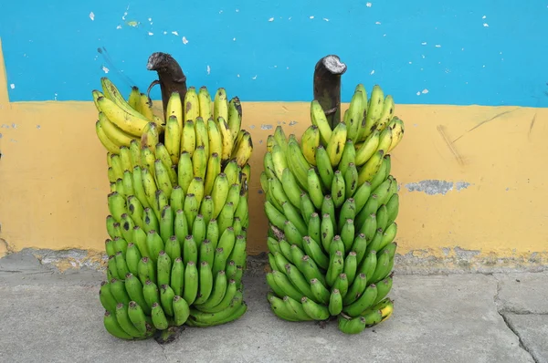 Bananas in ISNOS ( SanAgustin ). Department of Huila. COLOMBIA — Stock Photo, Image