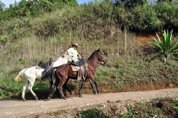 San Agustin - Colombia — Stockfoto