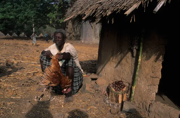 Bediks - Senegal — Stockfoto