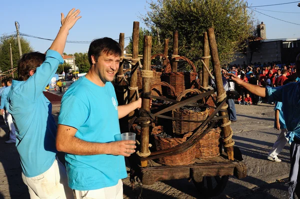 Cenicientos - Spain — Stock Photo, Image