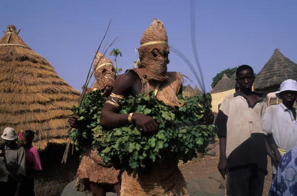 BEDIKS - Sénégal — Photo