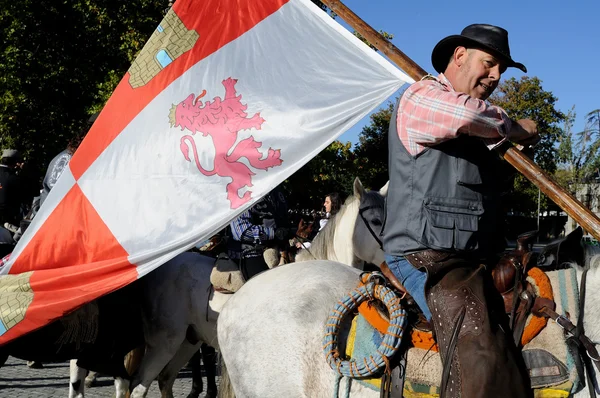 Transhumance .madrid - spanien — Stockfoto