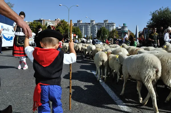 Yaylacılıktan de Madrid - İspanya