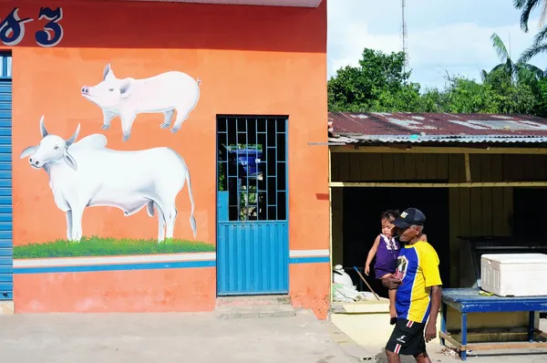 Tabatinga - Brasile — Foto Stock