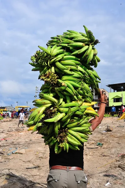 Iquitos - Perú —  Fotos de Stock