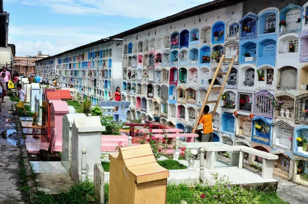 Iquitos - Pérou — Photo