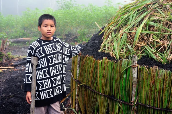 Charcoal - Peru — Stock Photo, Image