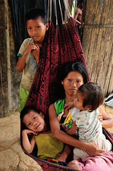 Amazonas - Peru — Stock Photo, Image