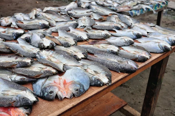 Iquitos - Peru — Zdjęcie stockowe