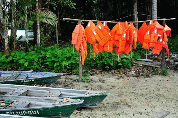 Iquitos - Pérou — Photo