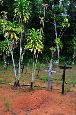 Amazonas - Peru