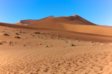şaşırtıcı turuncu dunes adlı deadvlei 