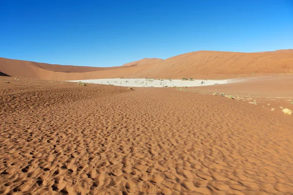 Uma visão de deadvlei na Namíbia — Fotografia de Stock