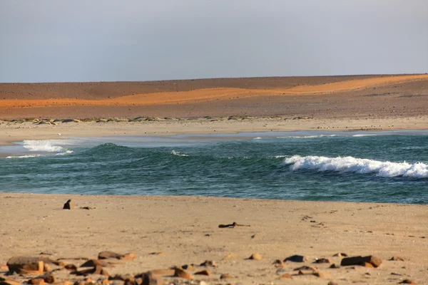 Skeleton coast in namibia — Stock Photo, Image