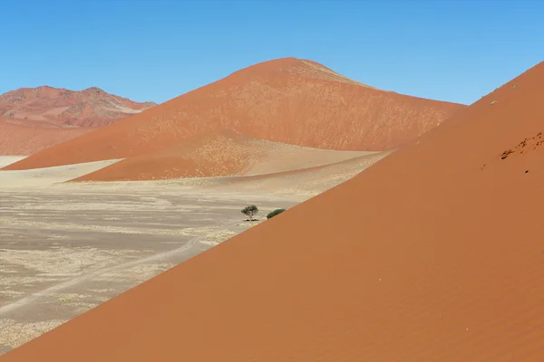 View from a dune at sossuvlei namibia — Stock Photo, Image
