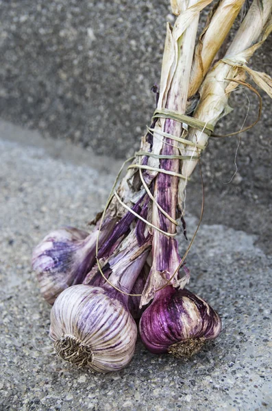 Knoblauch — Stockfoto