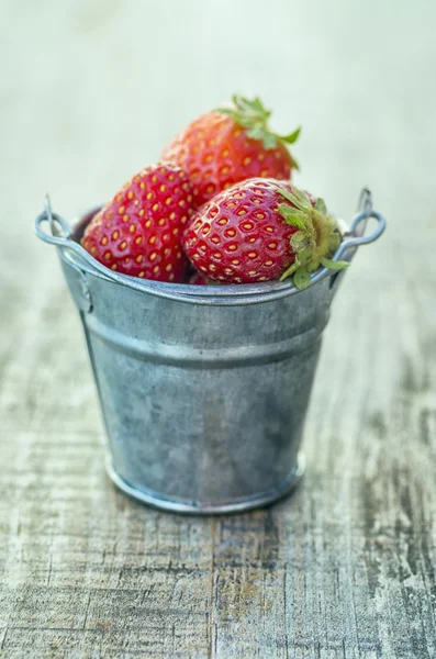 Erdbeeren in Töpfen — Stockfoto