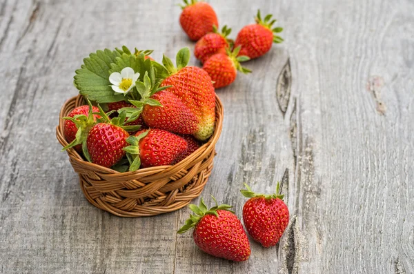 Strawberries — Stock Photo, Image