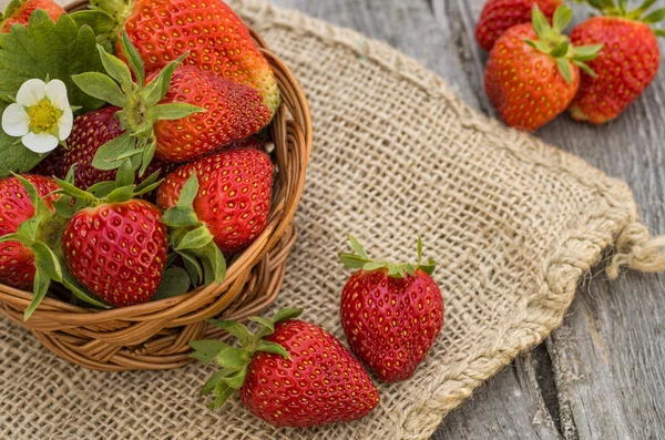 Erdbeeren — Stockfoto