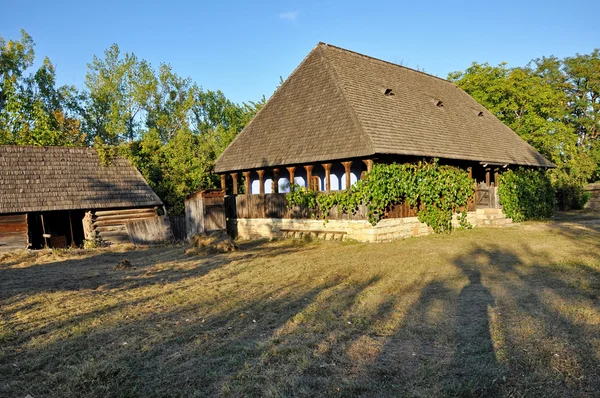 Verandada üzüm ile kırsal ev — Stok fotoğraf