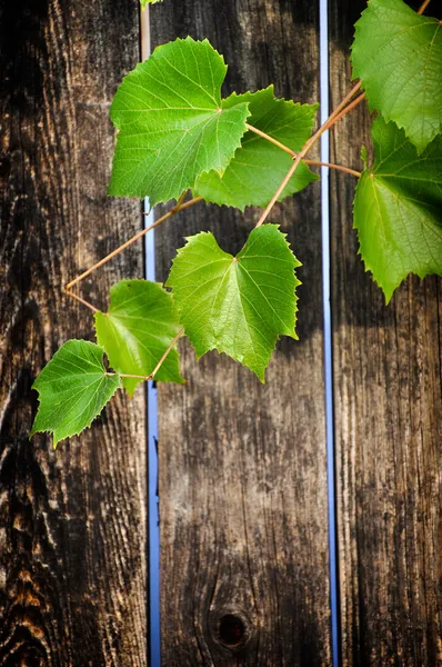 Fundo de madeira com folhas de uva — Fotografia de Stock
