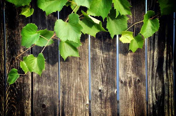 Fondo in legno con foglie d'uva — Foto Stock