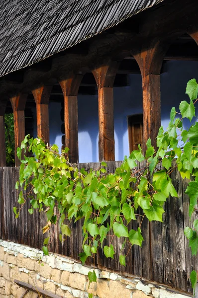 Holzveranda mit Traubenblättern — Stockfoto