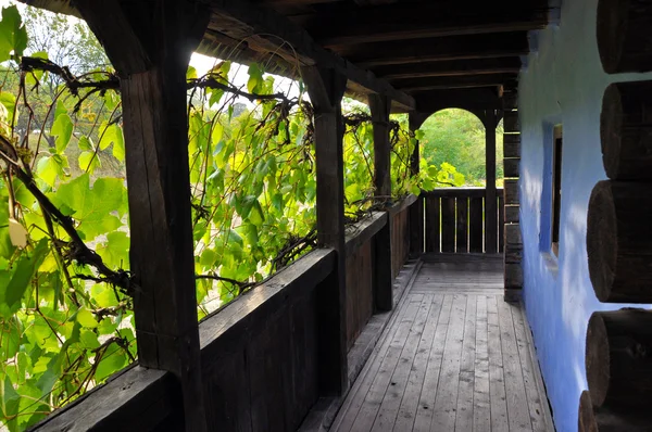 Veranda de madera con hojas de uva —  Fotos de Stock