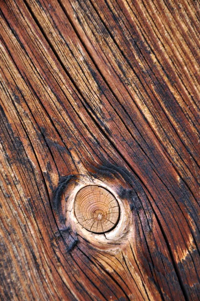 Fundo de textura de madeira com nó — Fotografia de Stock