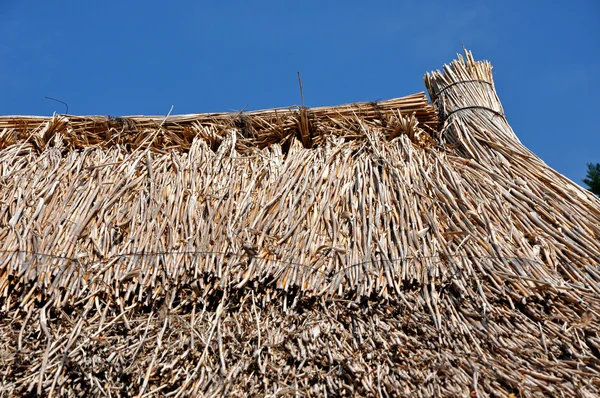 Thatched çatı detayı — Stok fotoğraf