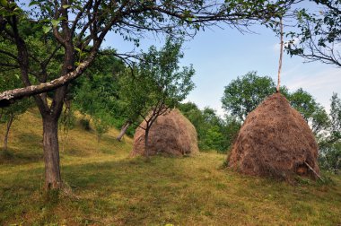 haystacks