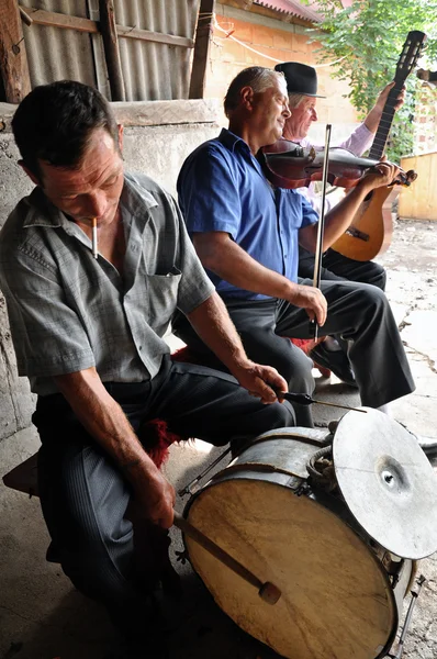 Musicians playing on traditional instruments — Stock Photo, Image