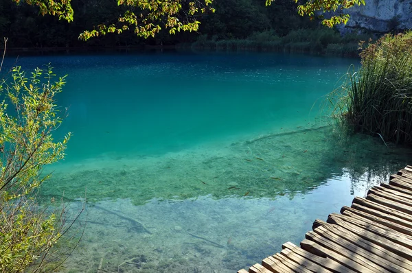 Πανέμορφη τυρκουάζ λίμνη στο plitvice, Κροατία — Φωτογραφία Αρχείου