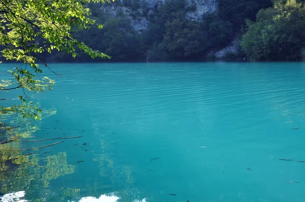 Krásné tyrkysové jezero v plitvice, Chorvatsko — Stock fotografie