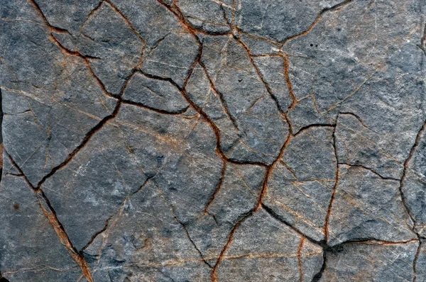 Grunge limestone surface texture — Stock Photo, Image